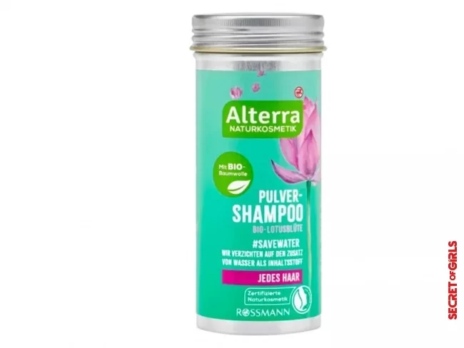 Mild and vegan shampoo | Under 10 Euros: 6 best shampoos from the drugstore