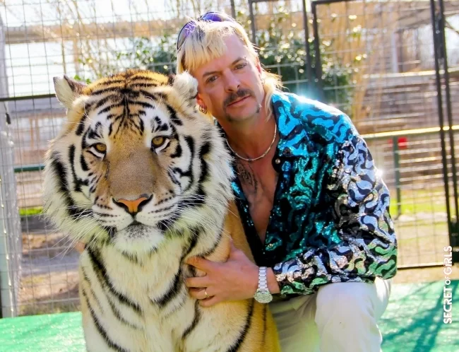 Joe Exotic | Mule cut: This trendy kitsch hairstyle that continues to fascinate the stars