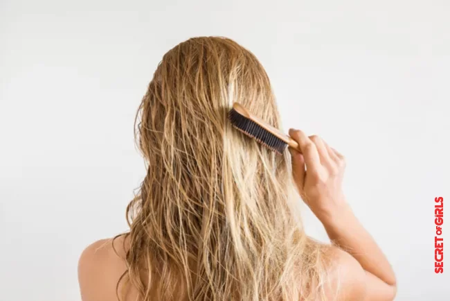 Mistake 4 - Brushing your hair with force | 7 mistakes everyone makes when brushing their hair