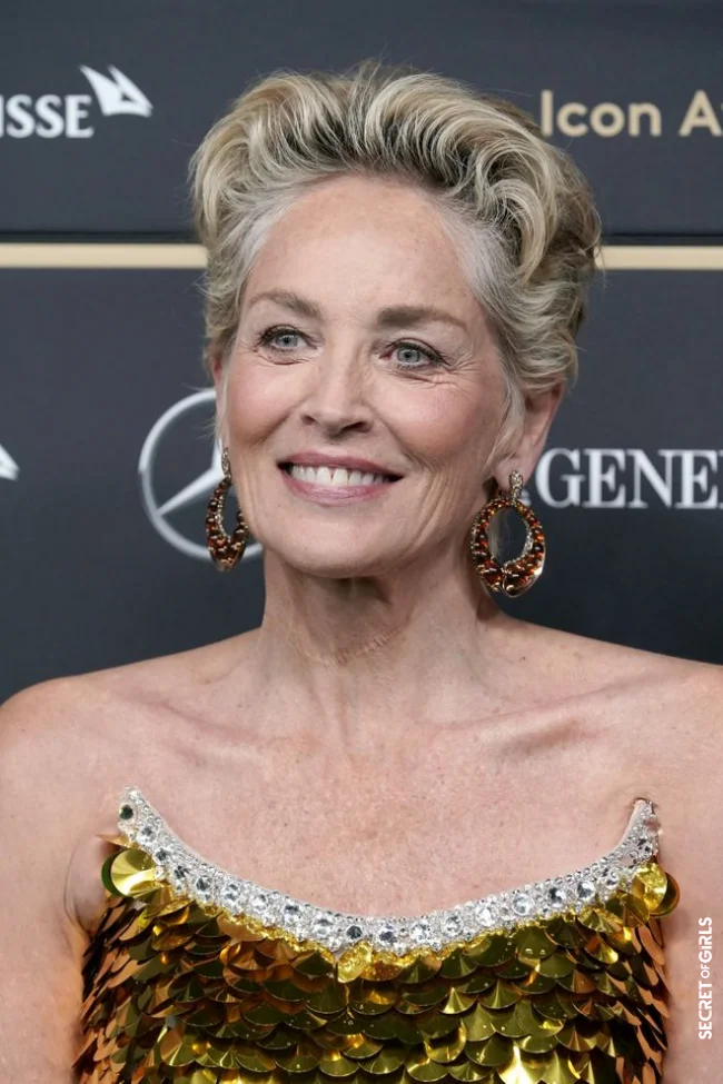 Sharon Stone's iconic cropped haircut | Most Beautiful Hairstyles To Adopt At 50