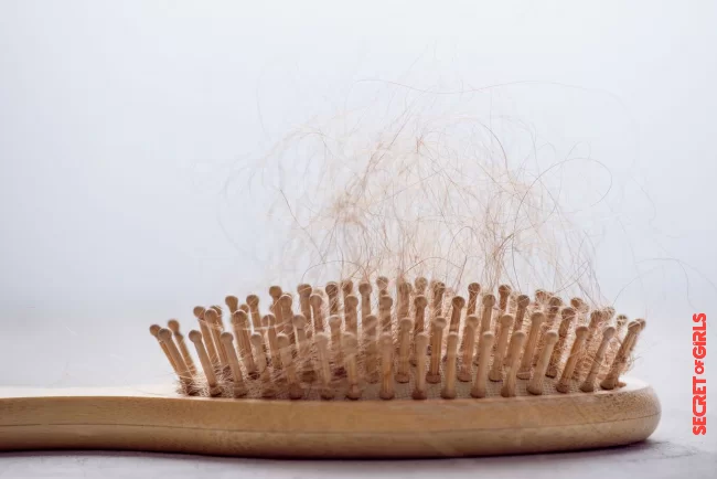 Clean your hair tools | Hair Tips: 9 (Too) Often Mistakes That Make Hair Oily