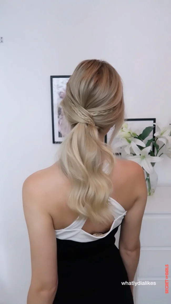 3. Ponytail with Baby Braids detail | 3 New Spring Ideas for Ponytail