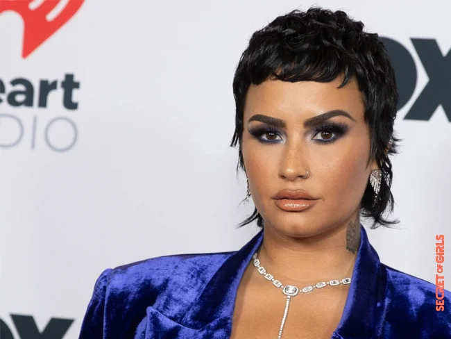 A buzzcut like Demi Lovato? You should know that | Hair Shaved Off! Demi Lovato Is Sporting A Buzzcut Now